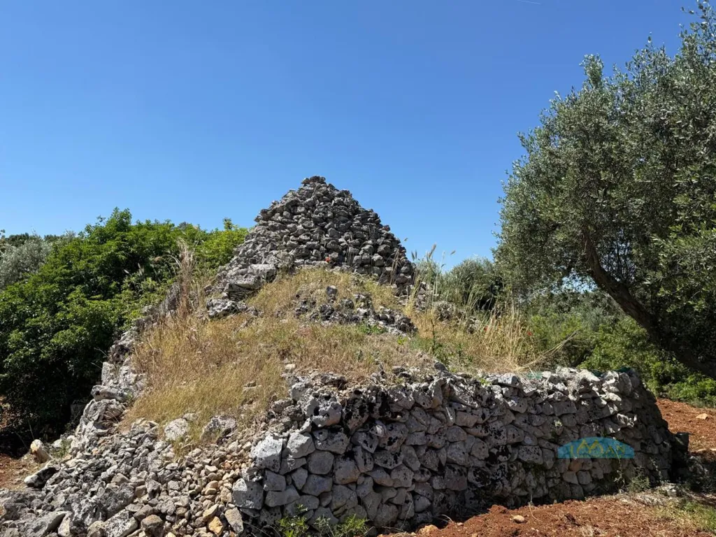 Jardin - Trullo with Olive Grove in Ceglie Messapica