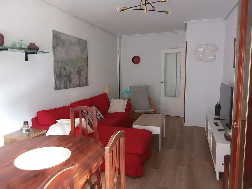 Séjour - Furnished Apartment with Terrace in Laredo