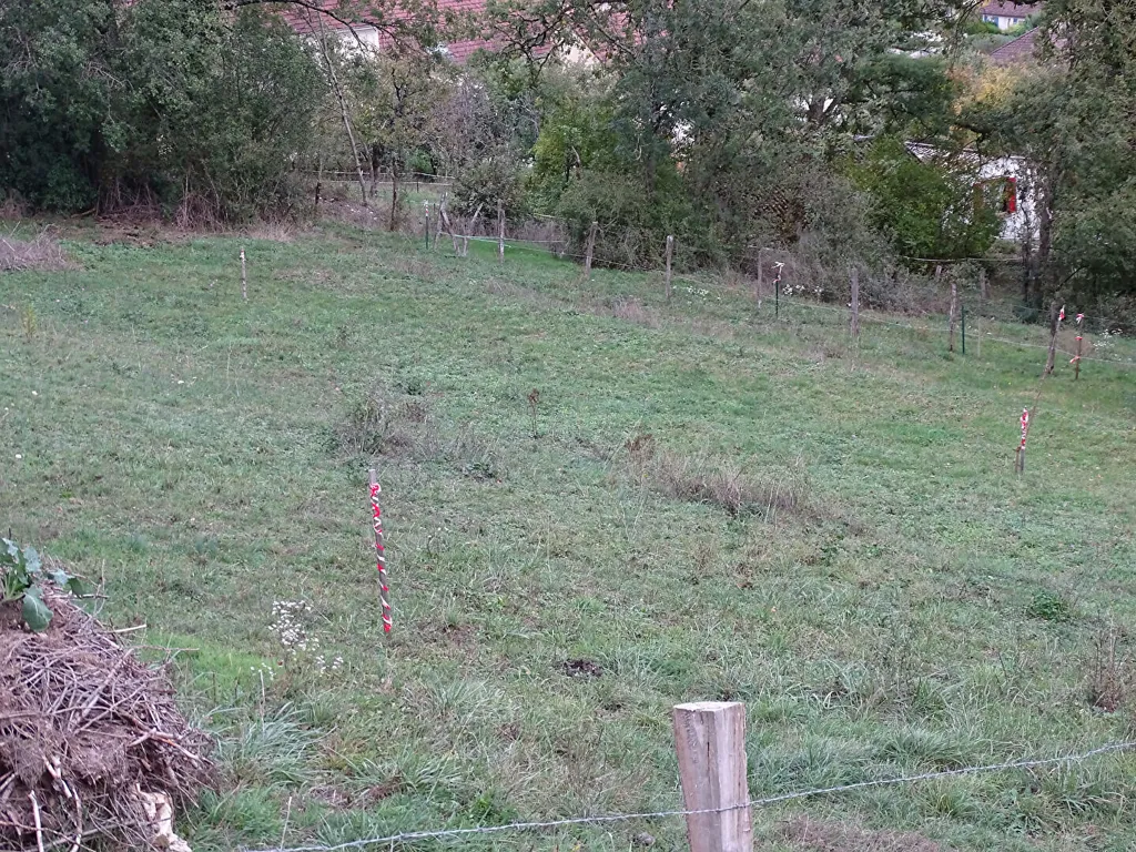 Jardin - Terrain Libre Constructeur avec Vue Dégagée à Vorges-les-Pins
