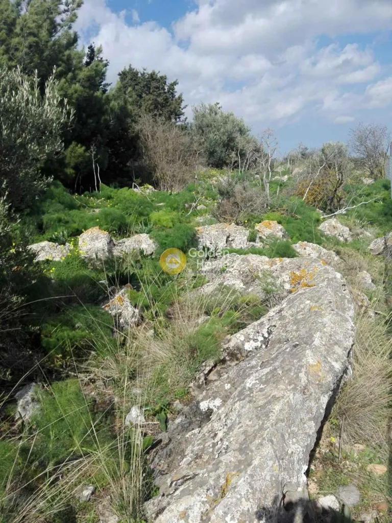 Garden - Land in GR