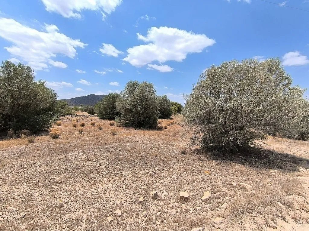 Aed - Rural Chalet with Olive Grove in Caudete