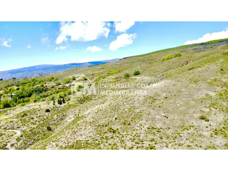 Aed - Rustic Finca with Water Source in Sierra de Júbar