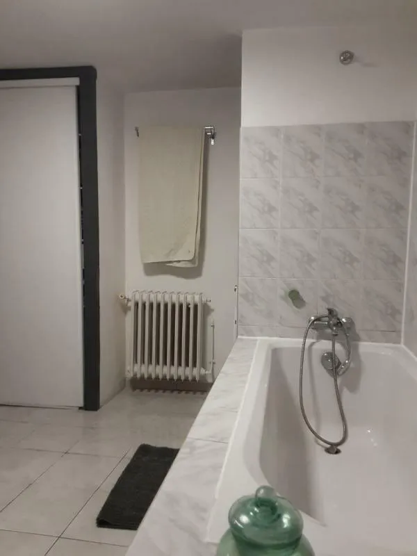 Bathrooms - Apartment with Terrace in Nogent-sur-Marne