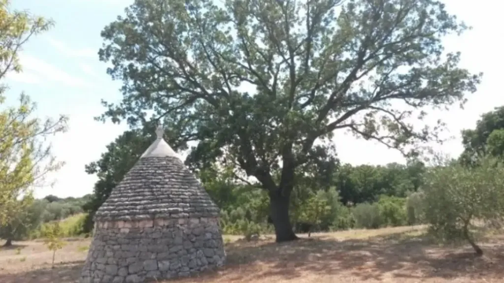 Välivaade - Traditional Trullo with Olive Grove in Ostuni