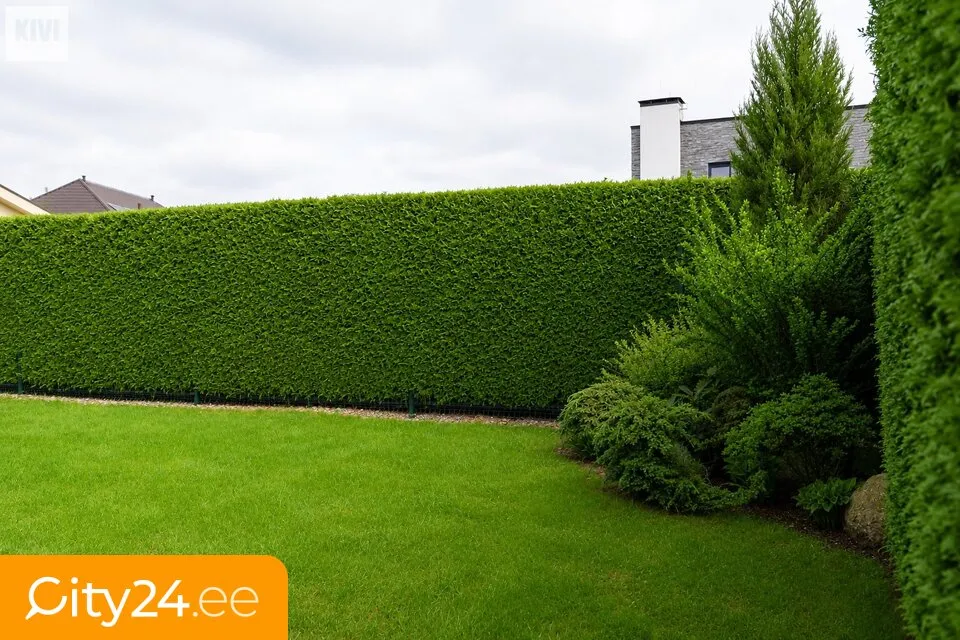 Giardino - Apartment with Private Garden in Dreiliņi, Riga