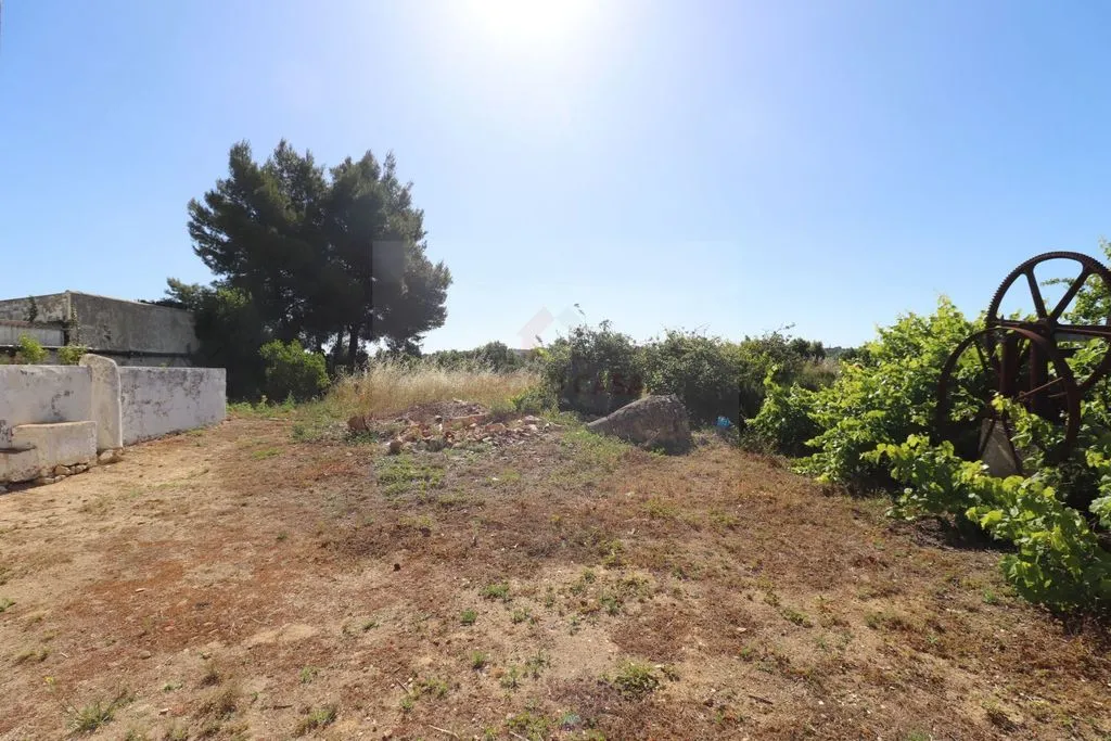 Aed - Luxury House with Agricultural Potential in Faro