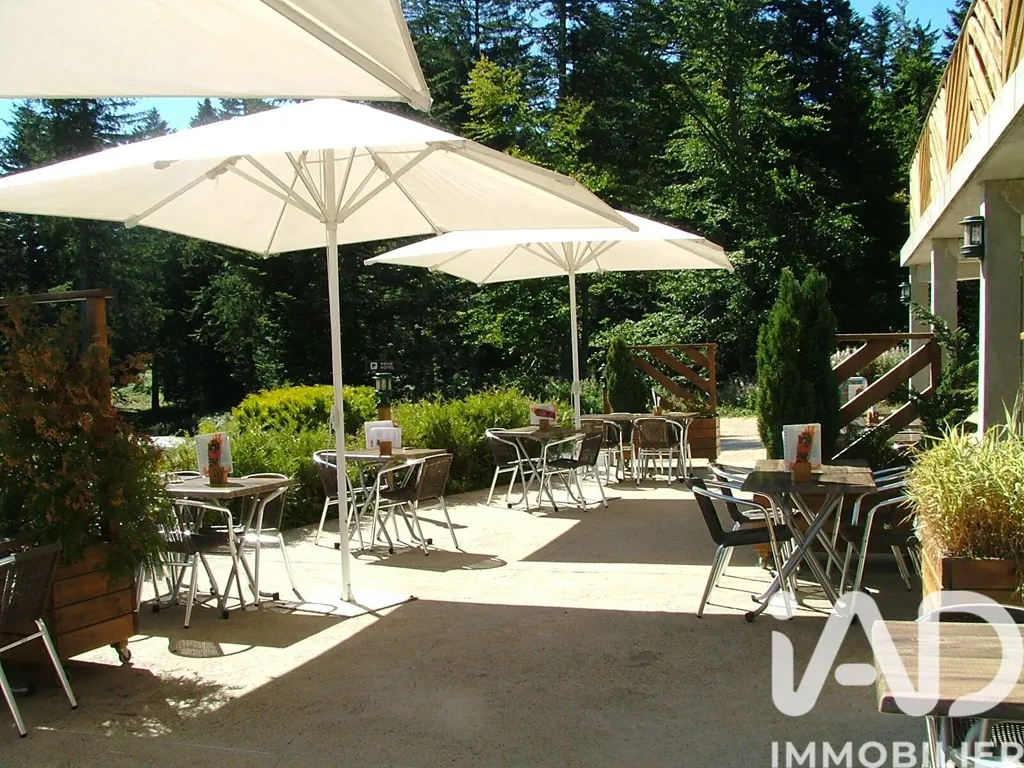 Terrass - Exceptional Chalet with Alpine View in Pilat