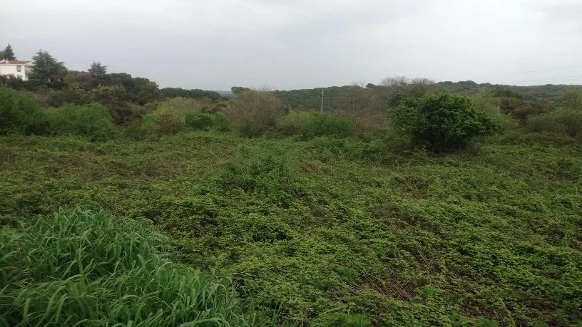 Giardino - Rustic Finca with Development Potential in Córdoba
