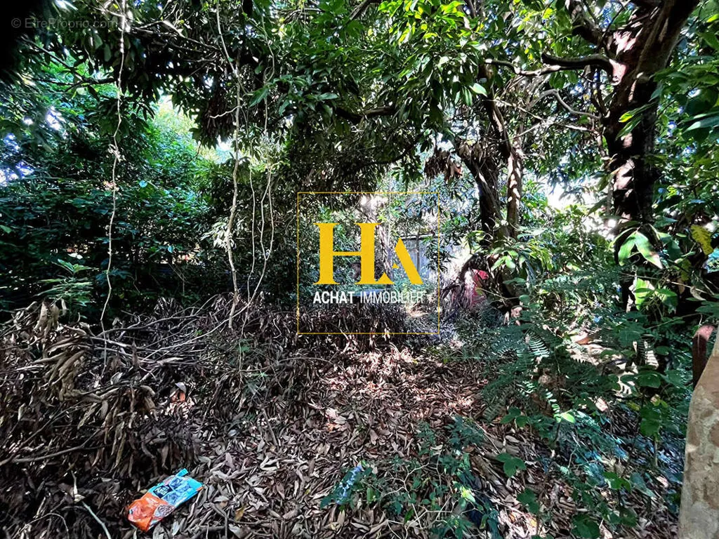 Giardino - Constructible Plot with Garden in Ligne Paradis, Saint-Pierre