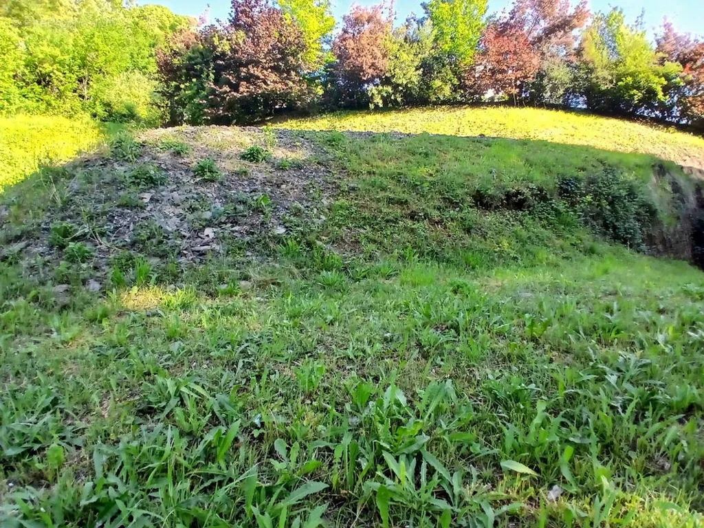 Jardin - Terrain à Bâtir à Laissaud avec Vue Sud-Ouest