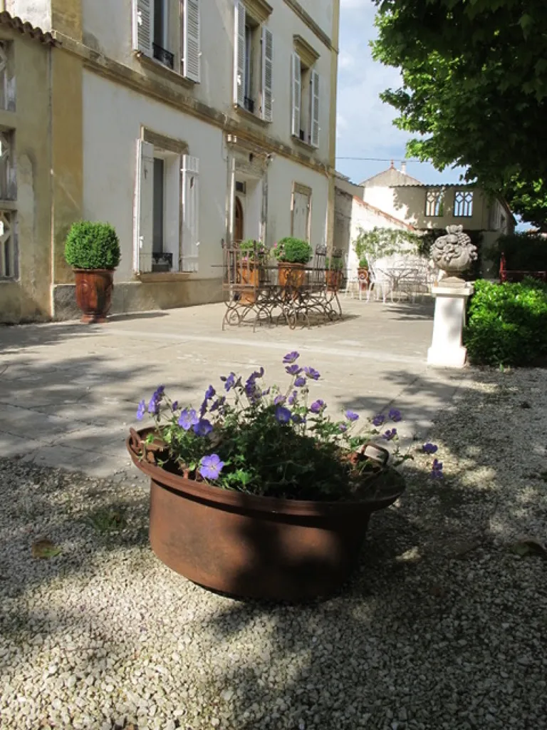 Jardin - Propriété pour Événementiel avec 10 Logements à Pernes-les-Fontaines
