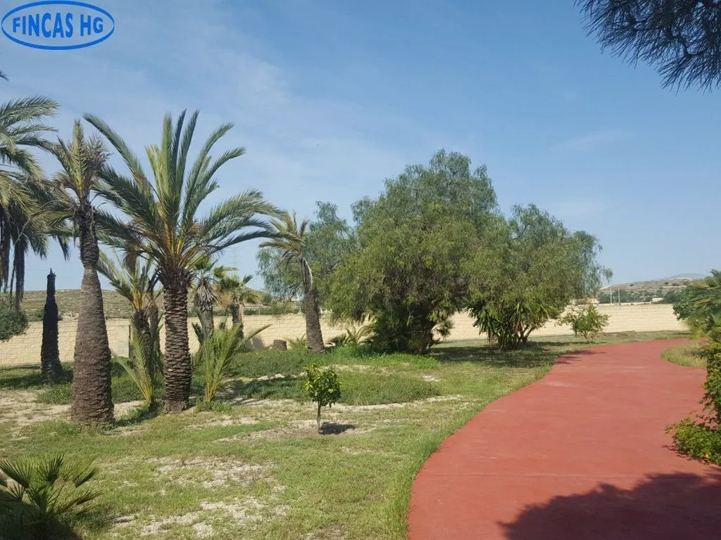 Extérieur - Luxury Villa with Pool in Alicante