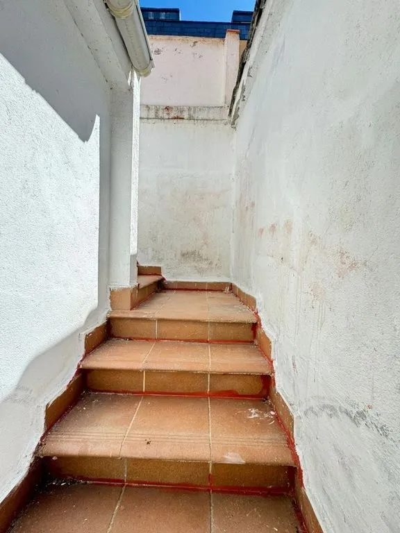 Toad - Luxury Villa with Large Parcel in Collado Villalba