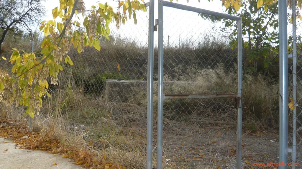 Jardin - Farm with Naves and Service House in Maella