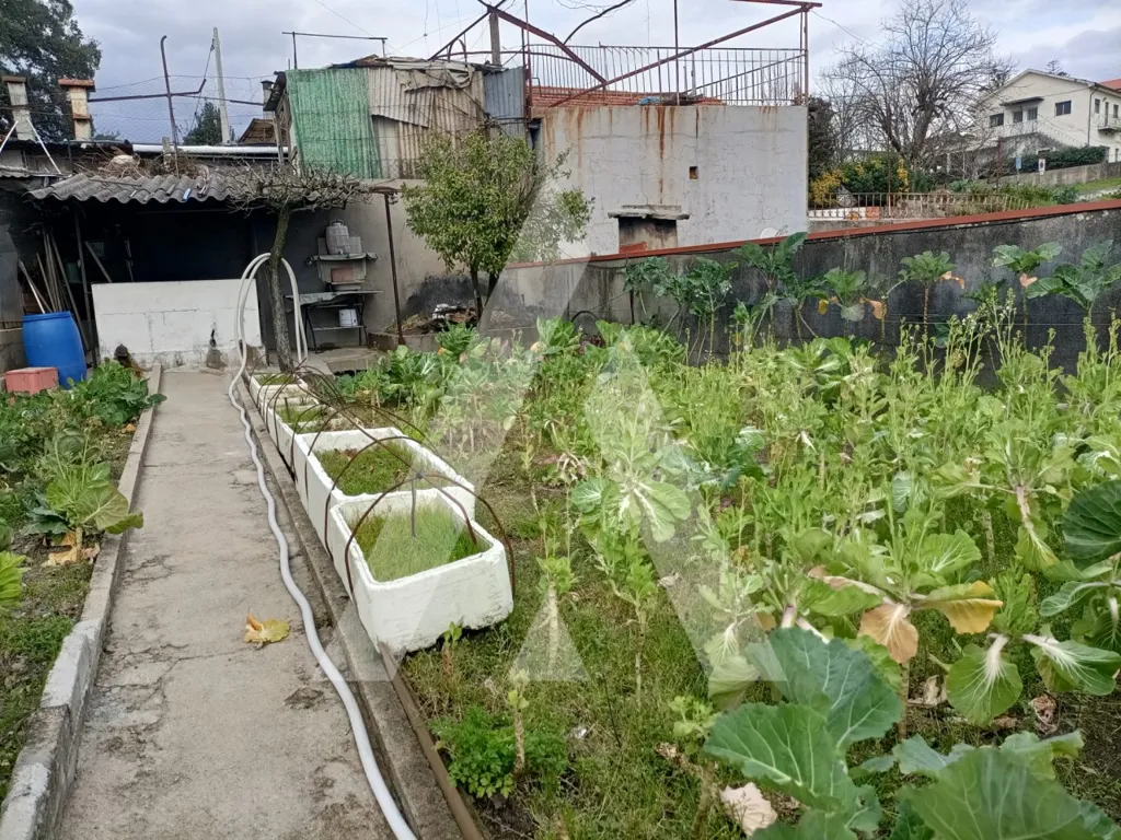 Jardin - T3 House with Garden in Penafiel