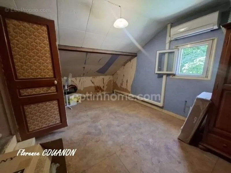 Toad - Old House with Potential and Garden in Denonville