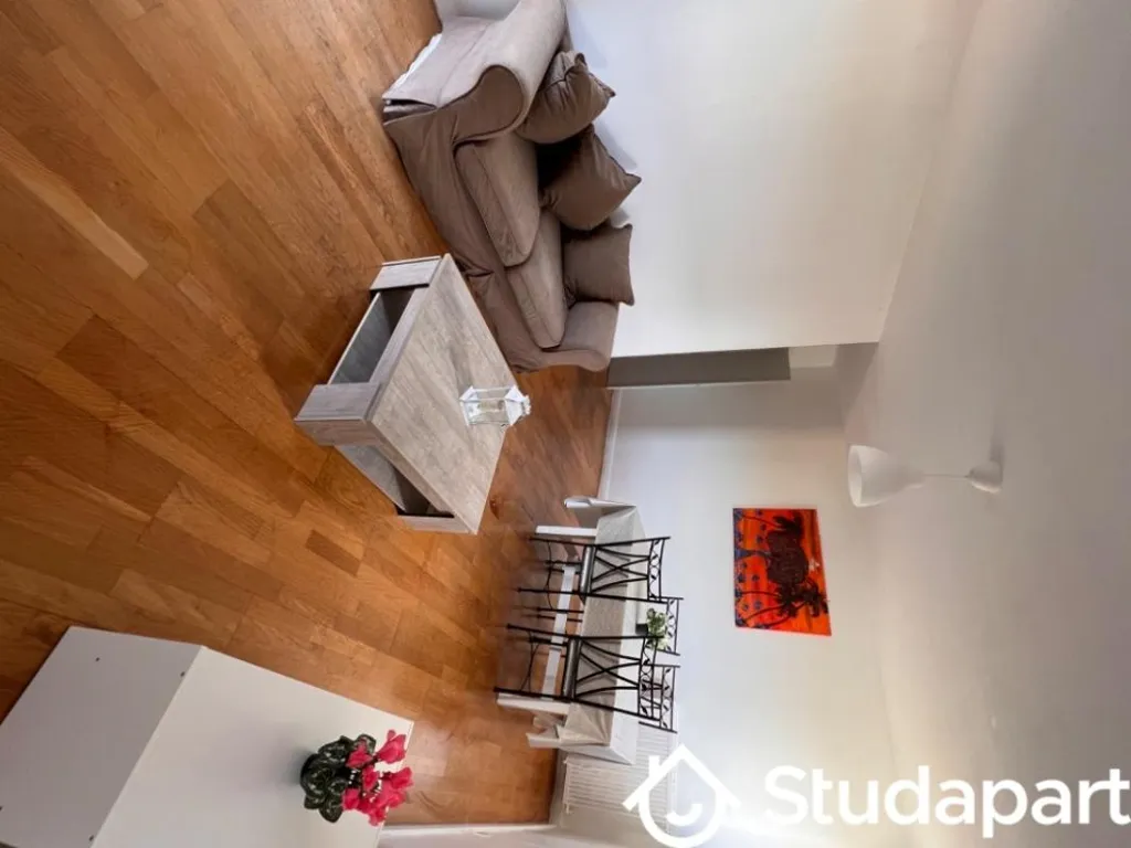 Séjour - Chambre en Colocation avec Terrasse à Orléans