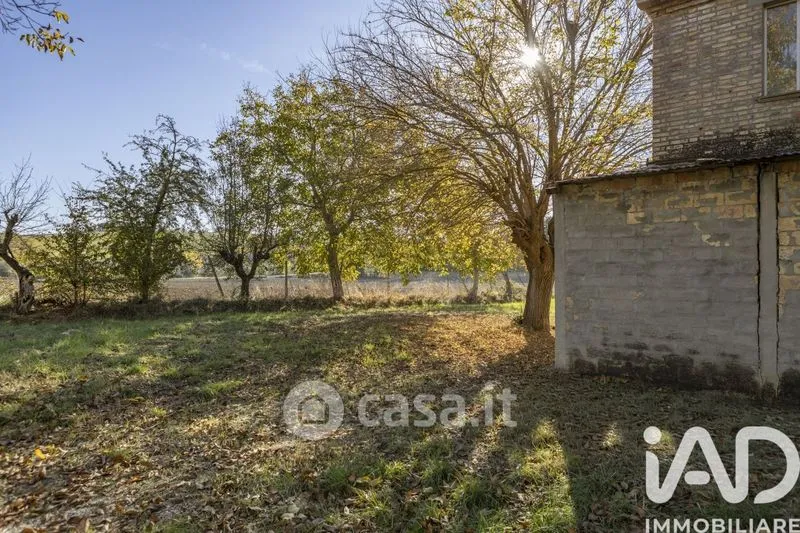 Giardino - Traditional Rustico with Olive Trees in Appignano