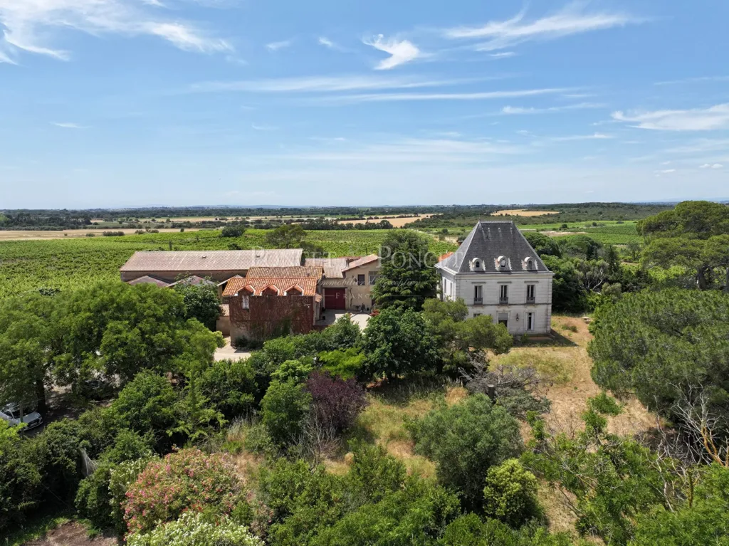 Õhuvaade - Vineyard Estate with Pool near Agde
