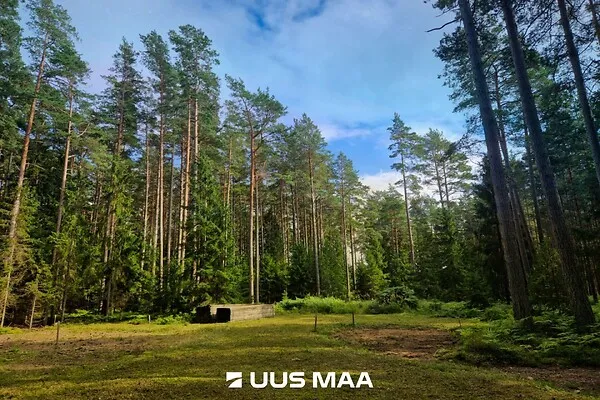 Jardin - Plot with Surf Paradise in Hiiumaa