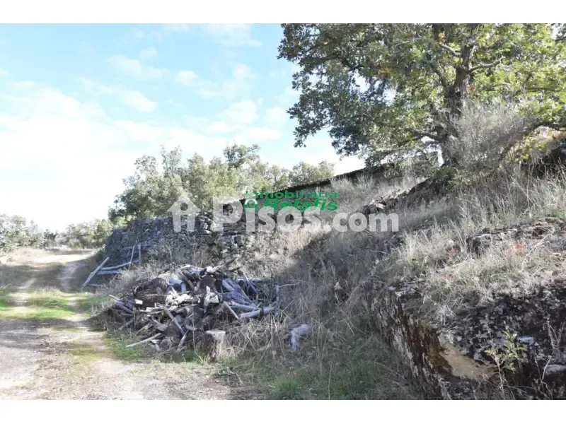 Giardino - Rustic Farm with Thermal Springs in Fuenteguinaldo