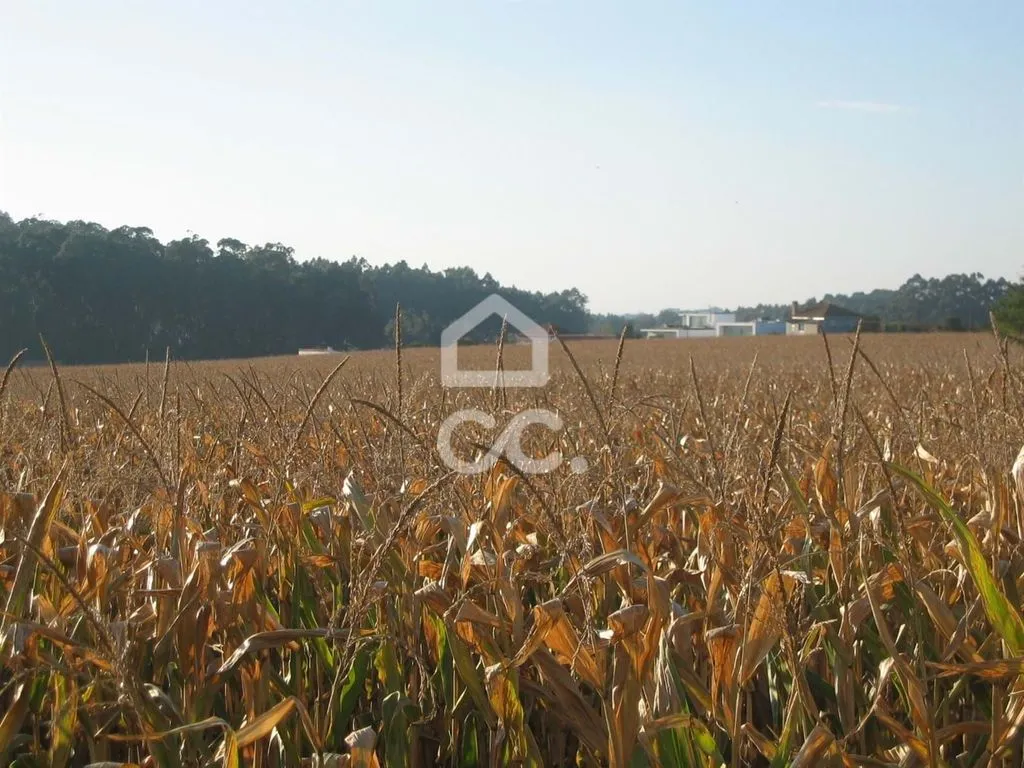 Aed - Building Land with Water Supply in Vila Nova da Telha