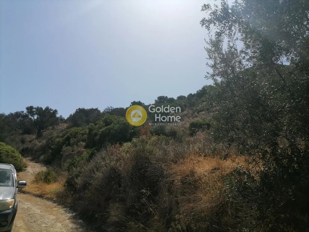 Aed - Agricultural Land with Unrestricted View in Phaistos