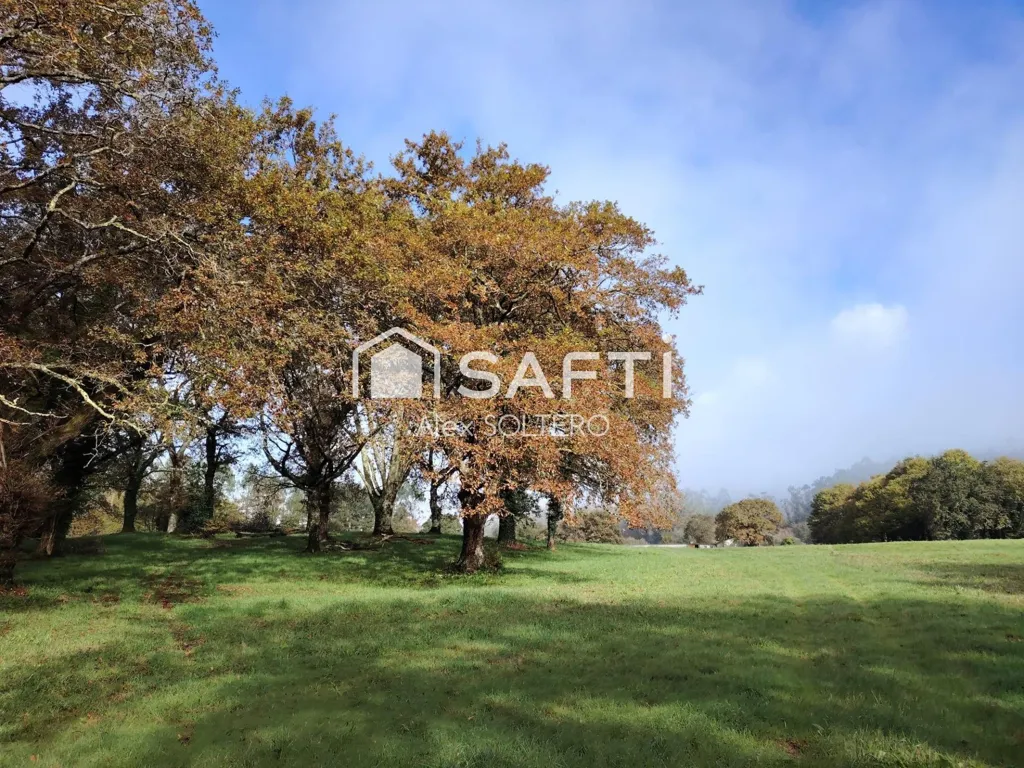 Jardin - Stone House with Large Plot in Negreira