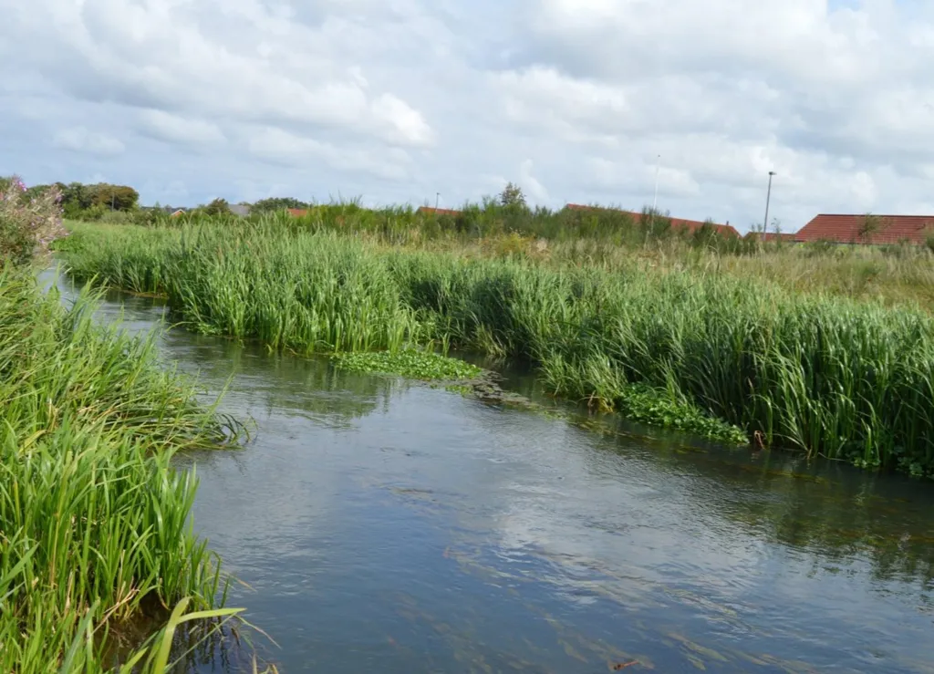 Year-Round Plot with 5G Coverage in Skjern