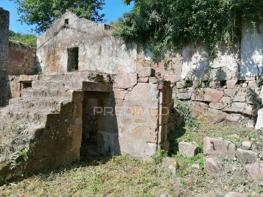 Jardin - Rural Quinta with Olive Trees in Pala