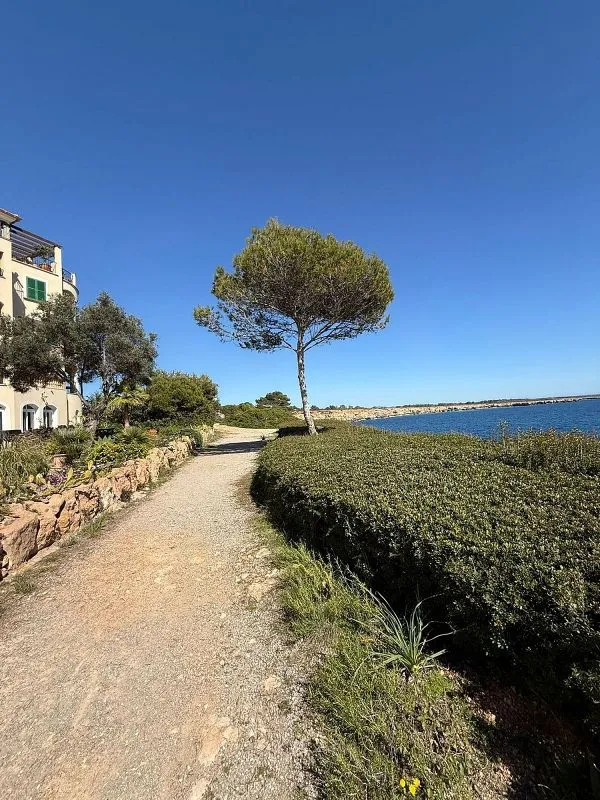 Extérieur - Apartment with Pool and Gym in Vallgornera