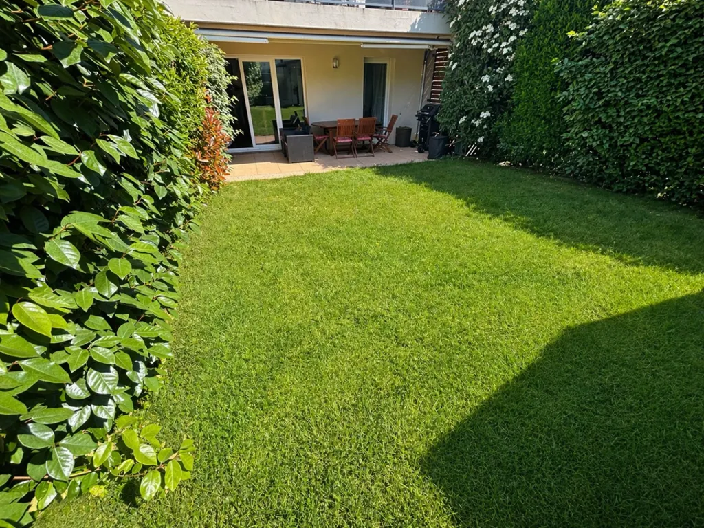 Jardin - Appartement F3 avec Jardin à Sathonay-Village