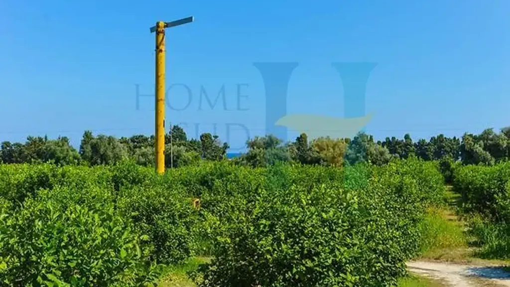 Aed - Warehouse with Lemon Grove near Avola