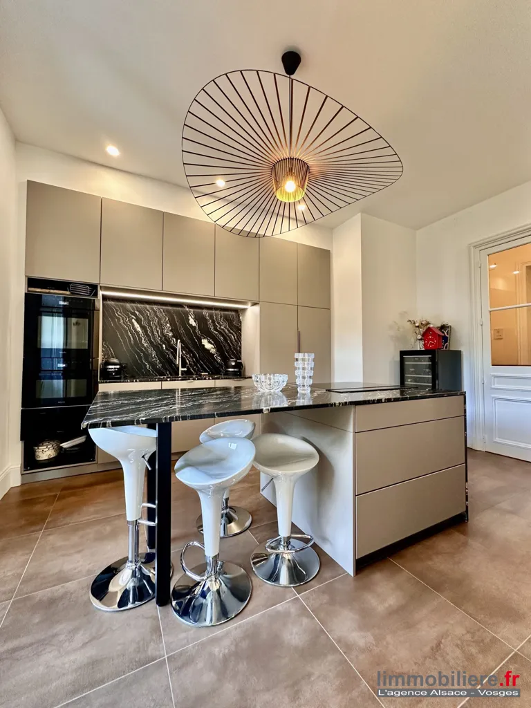 Cucina - Luxury Flat with Park Views in Saint-Dié-des-Vosges