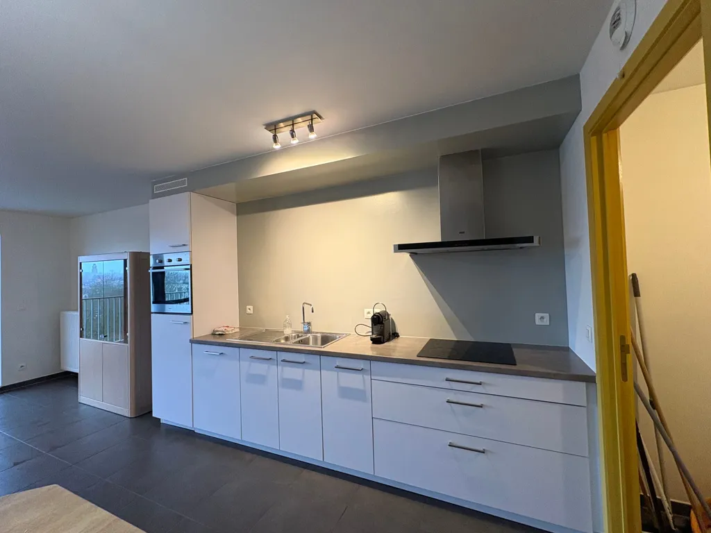 Cuisine - Appartement avec 2 Terrasses au Centre de Halle