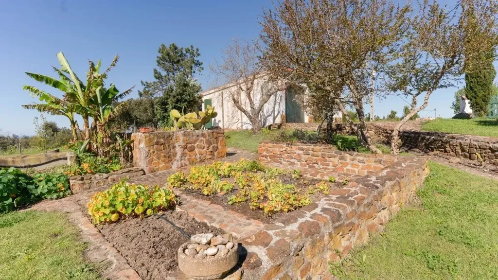 Jardin - Equestrian Villa with Water View in Beja District