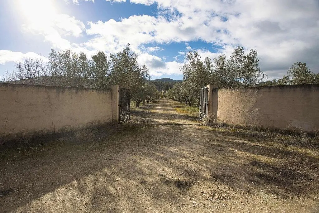 Välivaade - Restored Chalet with Olive Grove in Castalla