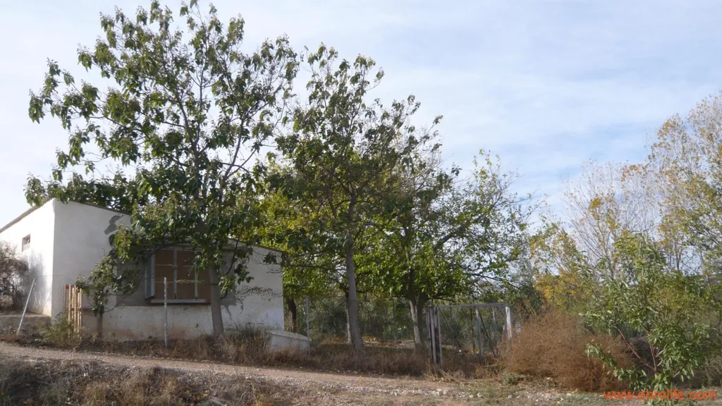 Extérieur - Farm with Naves and Service House in Maella