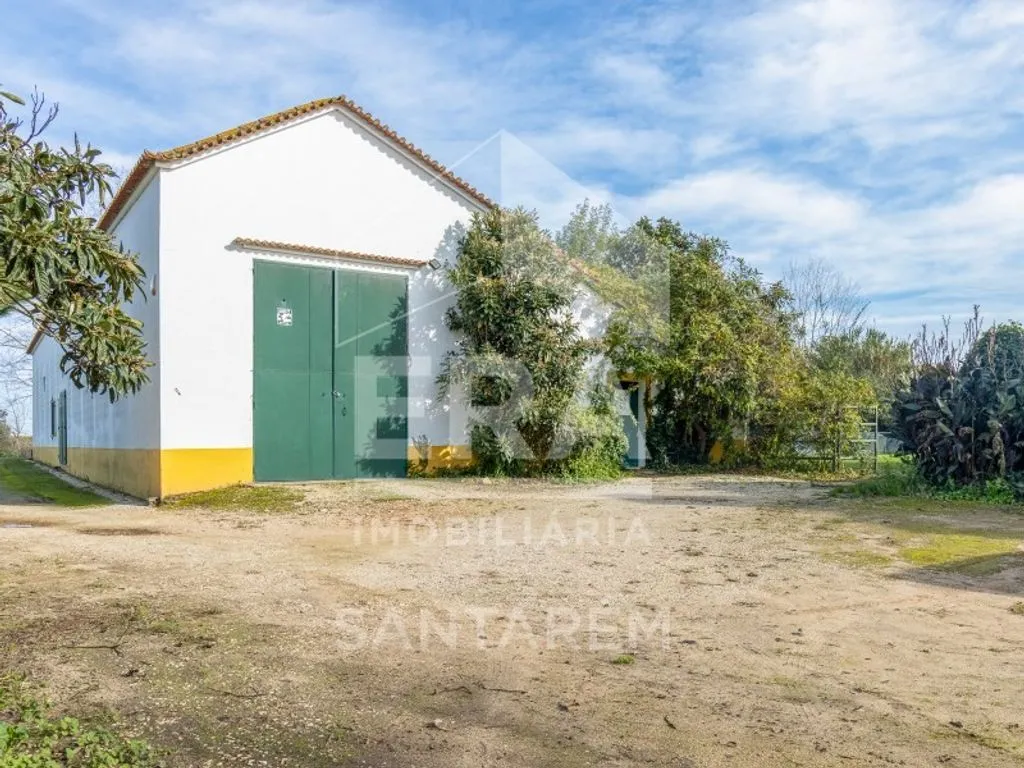 Extérieur - Luxury House with Agricultural Land in Benfica do Ribatejo