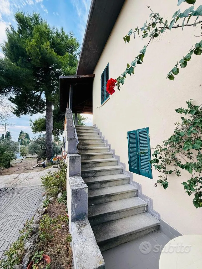 Toad - Villa with Perimeter Garden in Moscufo