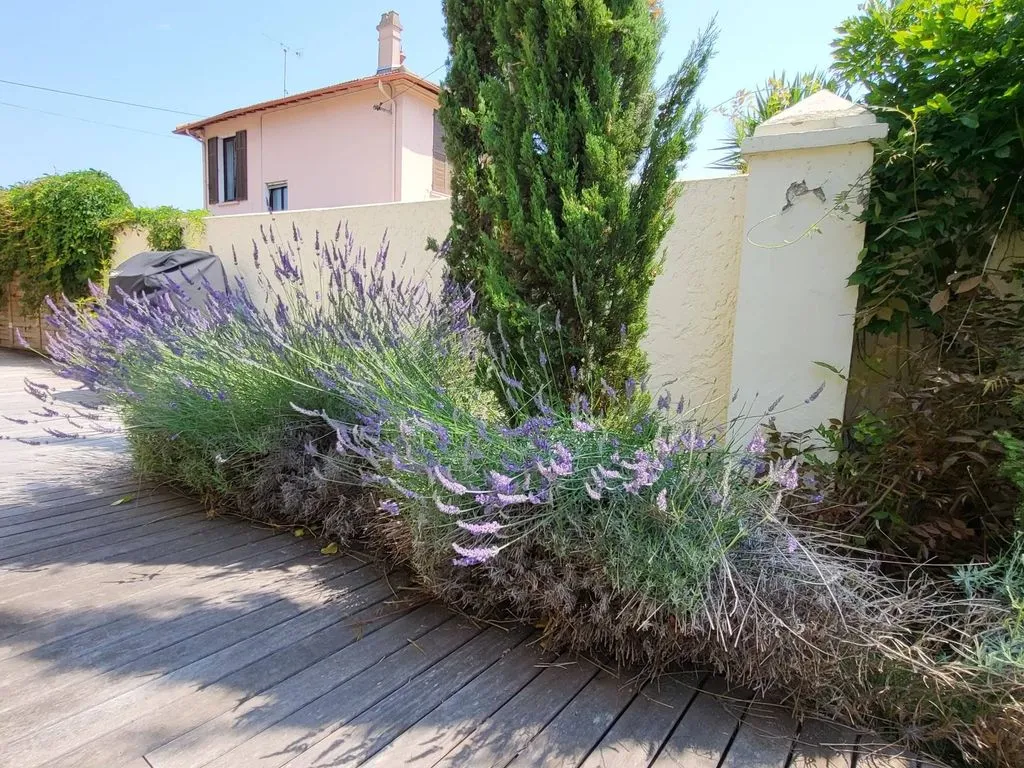 Terrass - Luxury Flat with Barbeque in Antibes