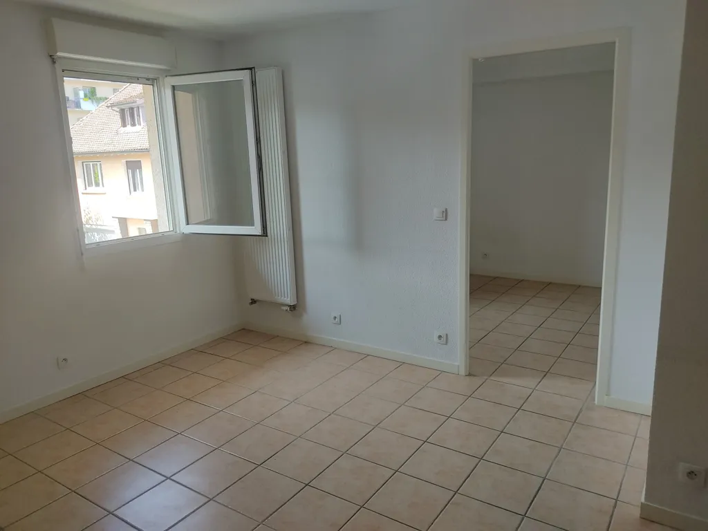 Toad - Charming Flat near Centre, Thonon