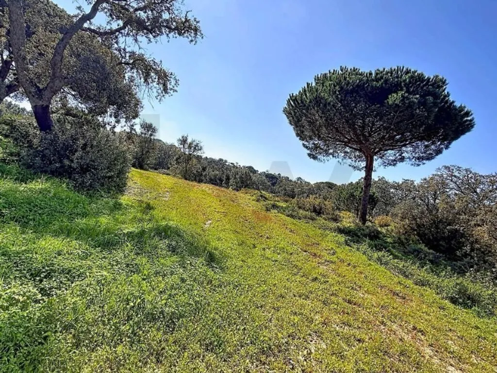 Jardin - Development Land with Water Features in Sesimbra