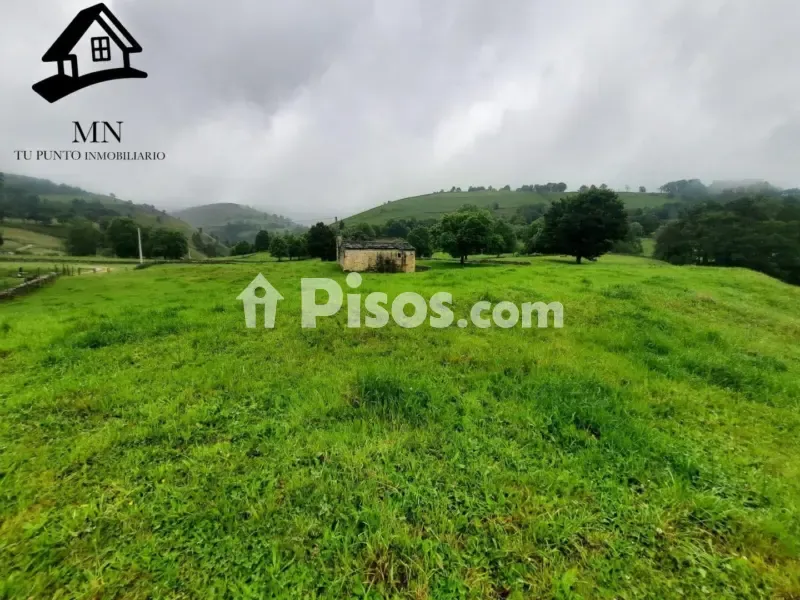 Jardin - Rustic Farm Complex with Cabañas in Valles Pasiegos