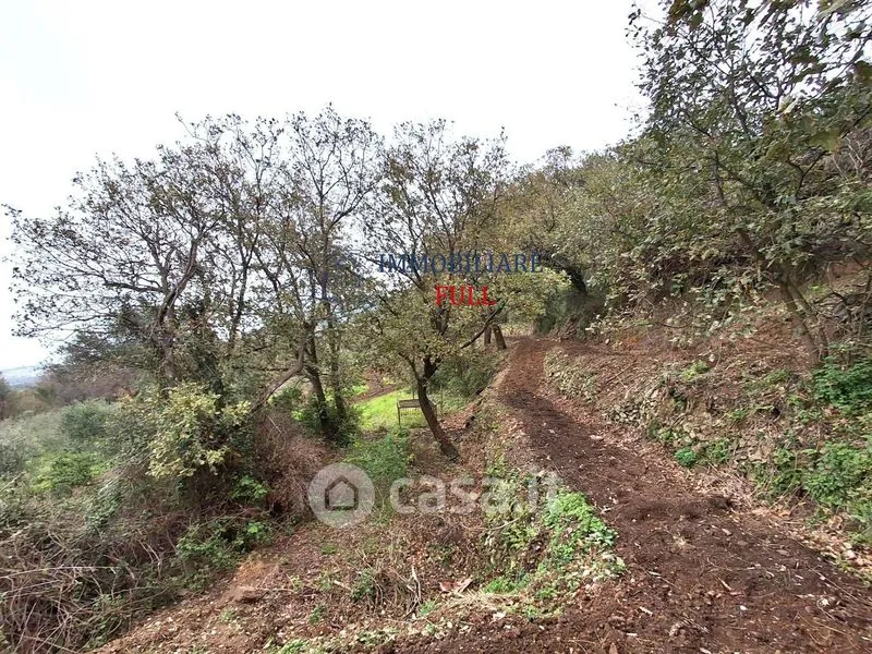 Aed - Rustic Casale with Panoramic View near Messina