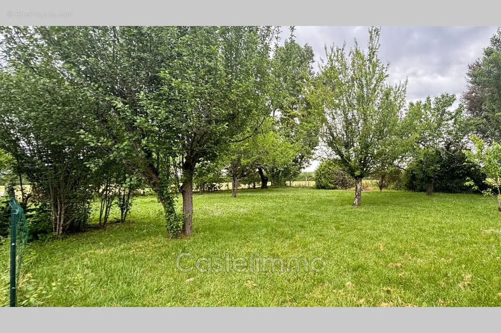 Jardin - Flat Terrain with Orchard near Montauban