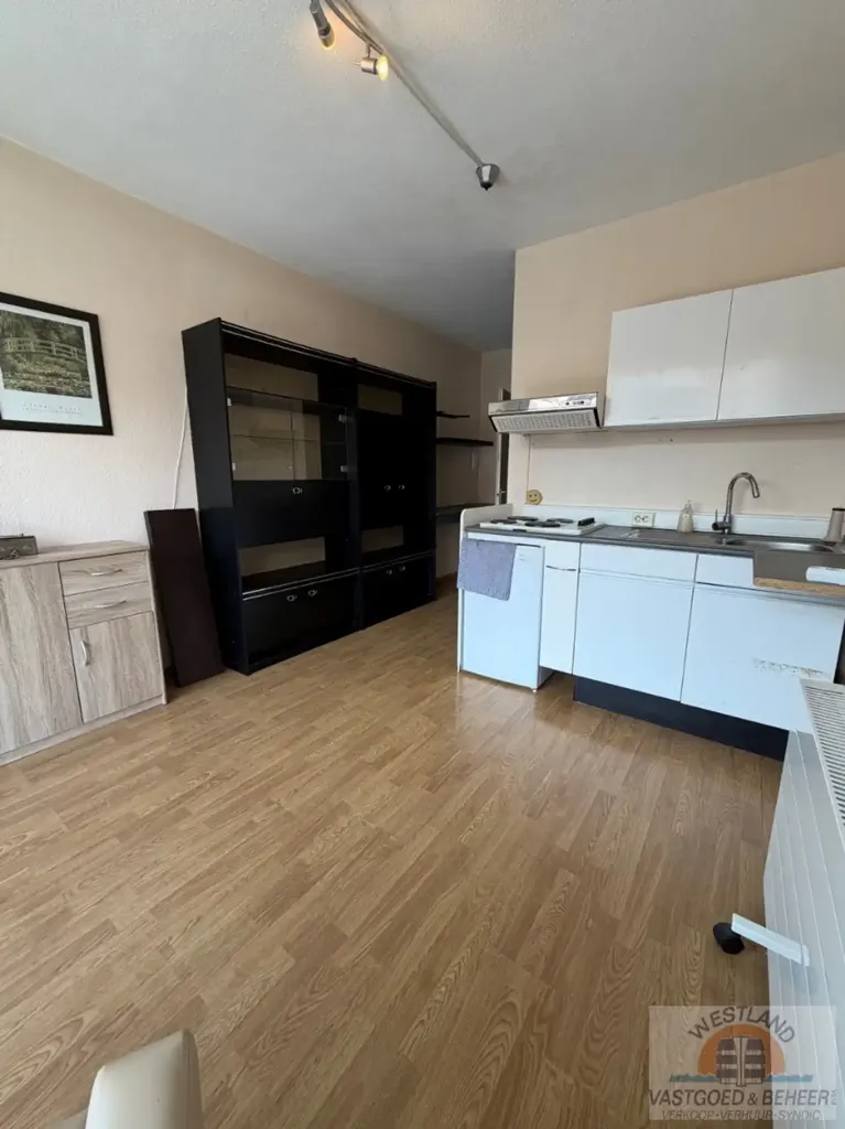 Cuisine - Studio à Renover dans la Résidence Santhooft