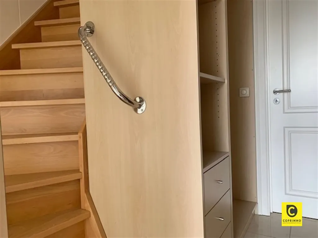 Toad - Apartment with Sunny Terrace in Aartselaar