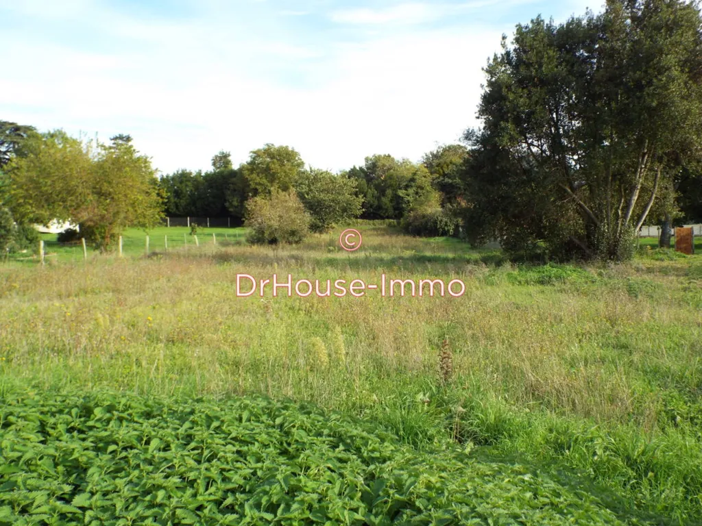 Garden - Flat Constructible Plot in Quiet Village, Bois