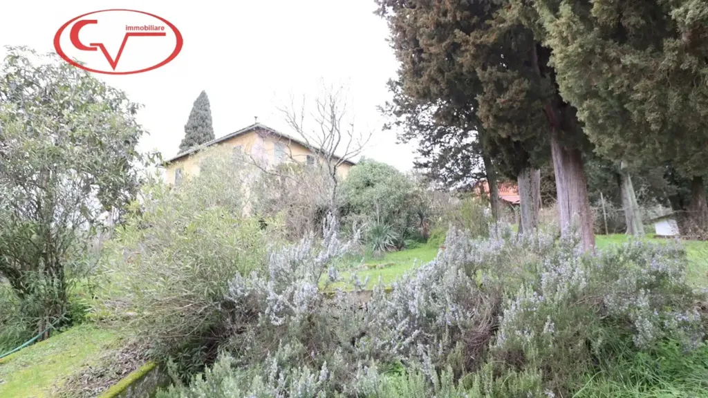Jardin - Historic Villa with Olive Grove in Montevarchi
